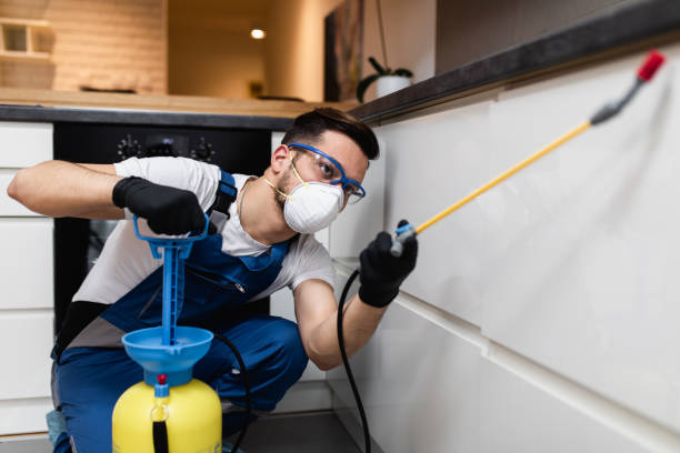 Best Flea Control Services  in Shell Valley, ND