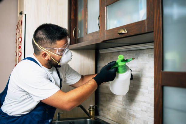 Best Local Pest Control Services  in Shell Valley, ND