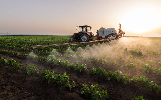 Best Pest Control Near Me  in Shell Valley, ND