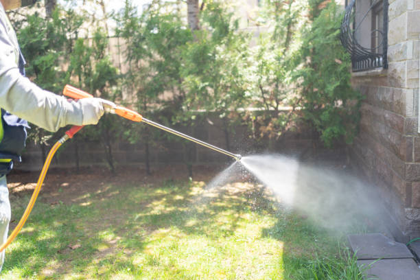 Pest Prevention Services in Shell Valley, ND