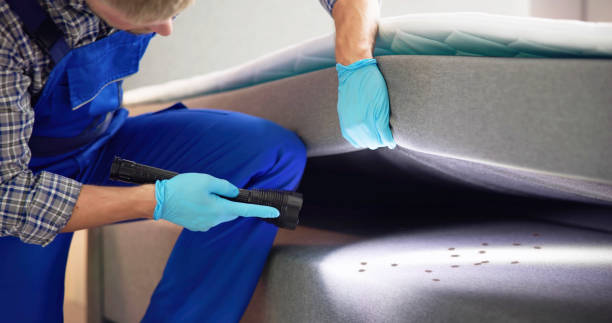 Trusted Shell Valley, ND Pest Control Experts