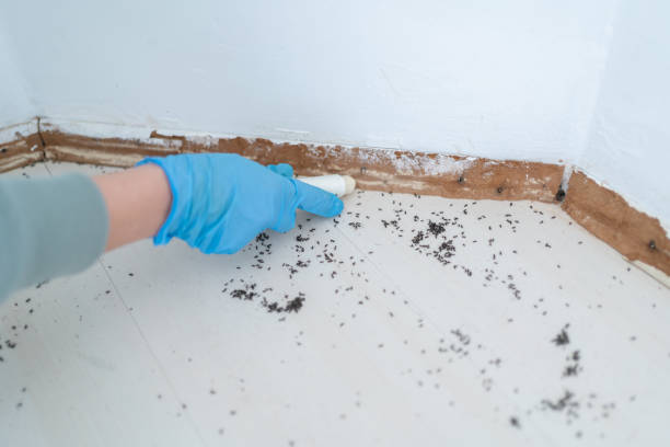  Shell Valley, ND Pest Control Pros